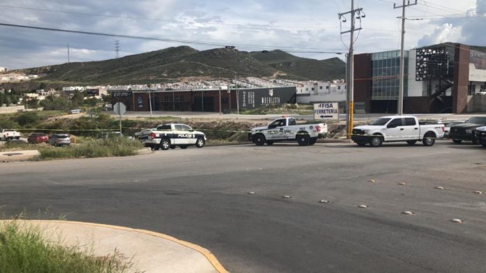 WhatsApp Image 2019-09-14 at 16.45.24.jpeg