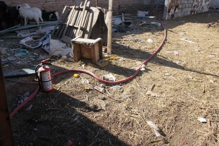 FB_IMG_1578616985086