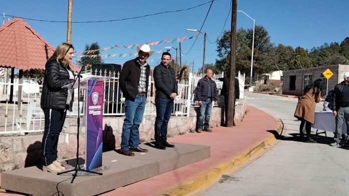 WhatsApp Image 2023-01-13 at 1.11.51 PM (1)