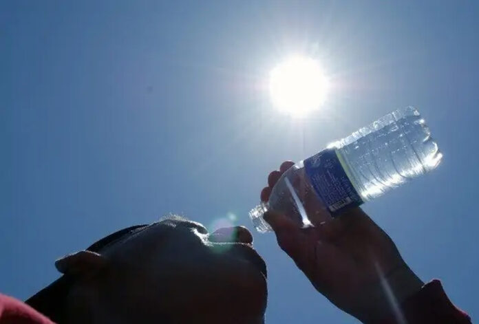 CALOR copy