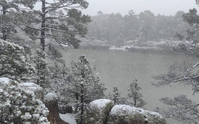 NIEVE