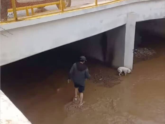 rescate