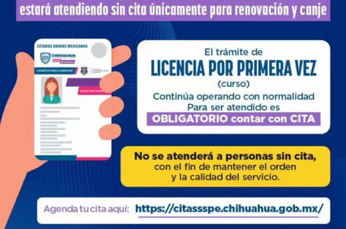 LICENCIA